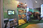 Gemersko-malohontské múzeum zmodernizovalo paleontologickú časť stálej expozície