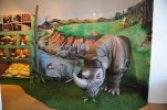Gemersko-malohontské múzeum zmodernizovalo paleontologickú časť stálej expozície - maketa nosorožca